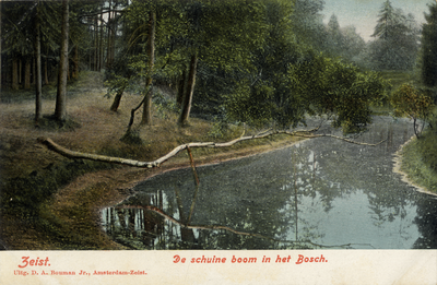 16305 Gezicht op de grote vijver met omringende naaldbomen in het Zeister Bosch te Zeist; met op de voorgrond de ...